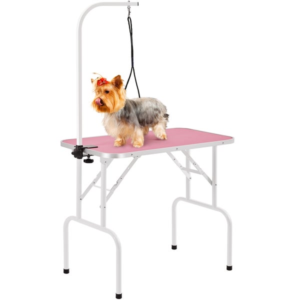Hund auf Hundefrisiertisch mit Haltegalgen für die Hundepflege