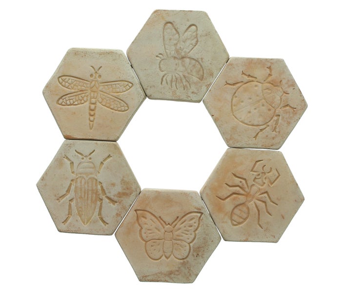 Sechs sechseckige Trittsteine mit Insektenmotiven