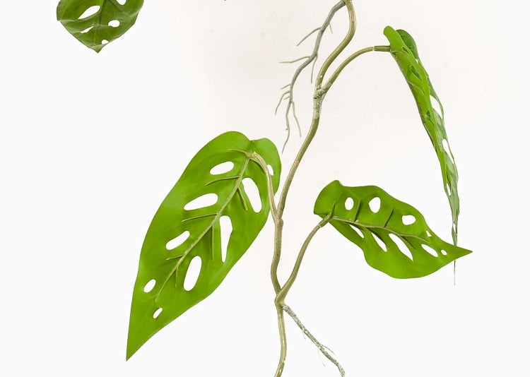 Nahaufnahme einer orangefarbenen Zitrusfrucht mit strukturierter Schale und grünem Stielansatz.