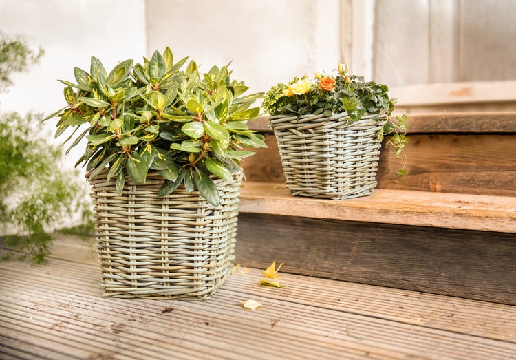 FRANK FLECHTWAREN | Pflanzer Rattan, groß, RATTAN, 27 x 27 x 25 cm