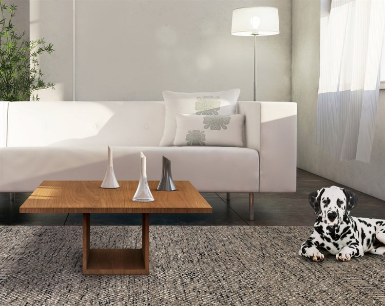 Modernes Wohnzimmer mit weißem Sofa, Holztisch, Stehlampe und Dalmatiner auf strukturiertem Teppich.