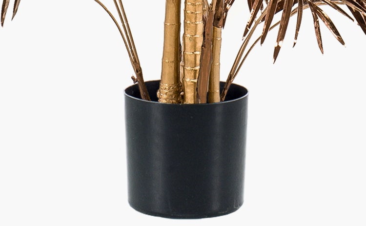 Künstliche Hängepflanze Asparagus in Grün mit feinen Blättern.
