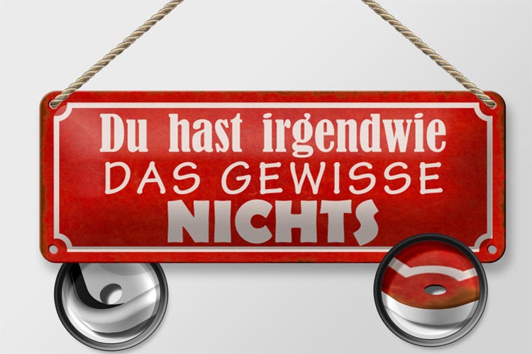 Blechschild Spruch 27x10cm du hast das gewisse nichts Dekoration