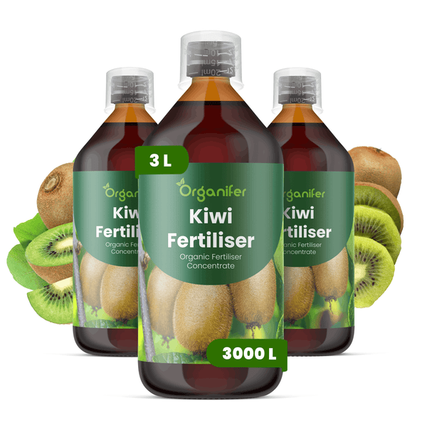 Drei Flaschen Organifer Kiwi-Dünger, organisches Düngerkonzentrat, 3 Liter Gesamtmenge.
