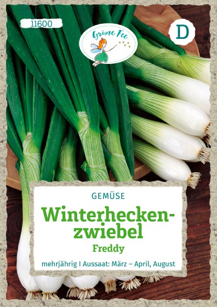 Samentüte Winterheckenzwiebel Freddy mit Abbildung von Zwiebeln, Grüne Fee Logo, mehrjährig, Aussaat März bis April und August.
