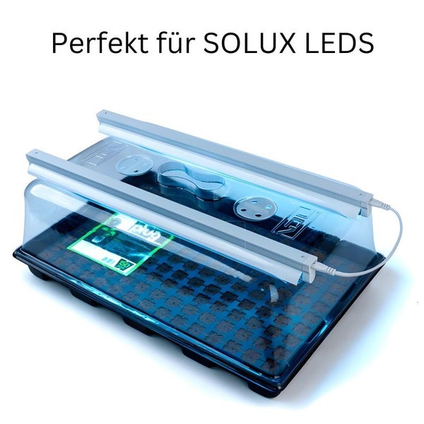 VDL Grow Gewächshaus 39x59x21 cm mit Belüftung – Kunststoff-Propagator für Stecklinge, Steinwolle-Tabletts & professionelle Pflanzenzucht