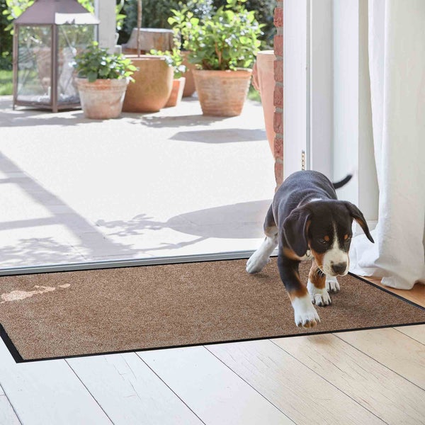 Schmutzfangmatte im Eingangsbereich mit Hund