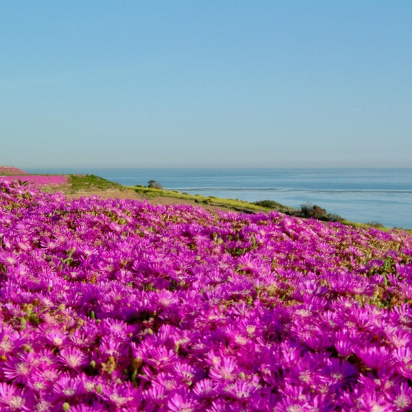 Stapel wasserdichte Big Dean Abdeckplanen, 4x6 Meter, 150 Gramm pro Quadratmeter