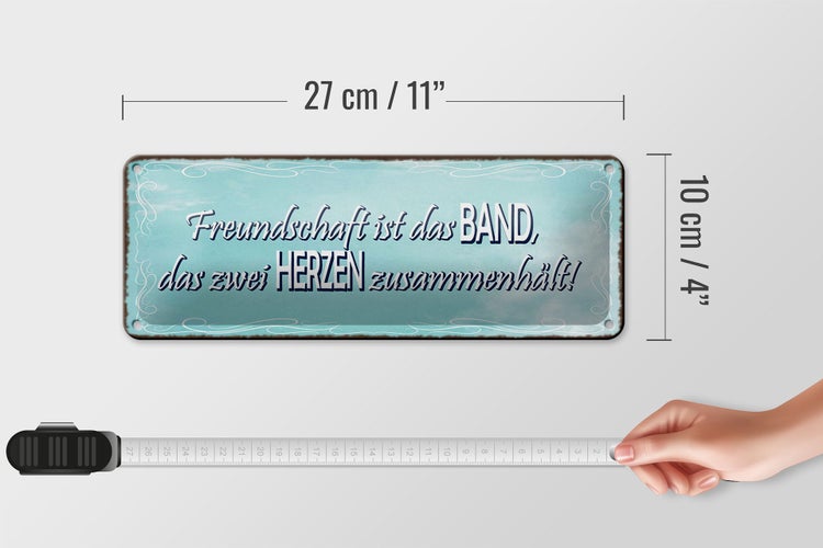 Blechschild Spruch 27x10cm Freundschaft Band zwei Herzen Dekoration