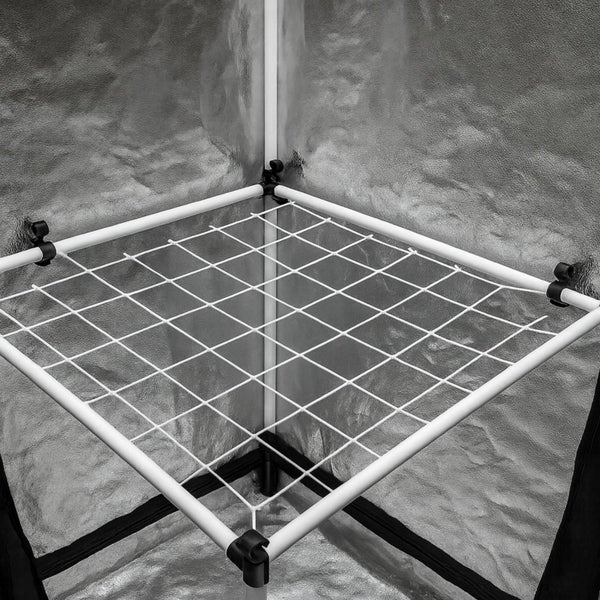 Innenansicht eines Growzelts mit Ranknetz zur Pflanzenunterstützung