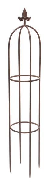 FRANK FLECHTWAREN | Rankhilfe Schwertlilie, 3er Set, METALL, Ø 17 x 86 cm, Ø 21 x 100 cm, Ø 26 x 114 cm