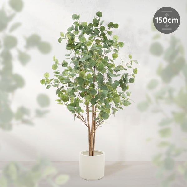 Dekorativer Eukalyptusbaum im Topf, 150 cm hoch