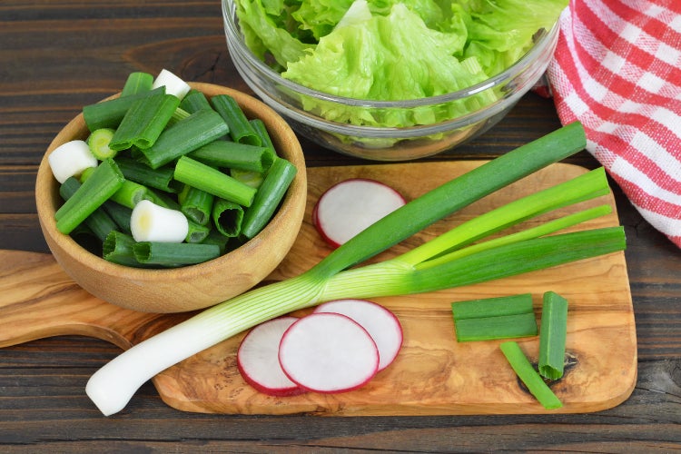 SAFLAX Garden to go - BIO - Frühlingszwiebel - Japanische Ishikura - Allium fistulosum - 150 Samen - Mit Topf, Klima - Deckel und Anzuchtsubstrat