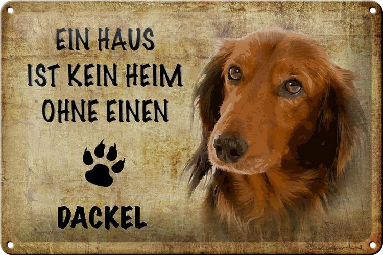 Blechschild Spruch 30x20cm Dackel Hund ohne kein Heim