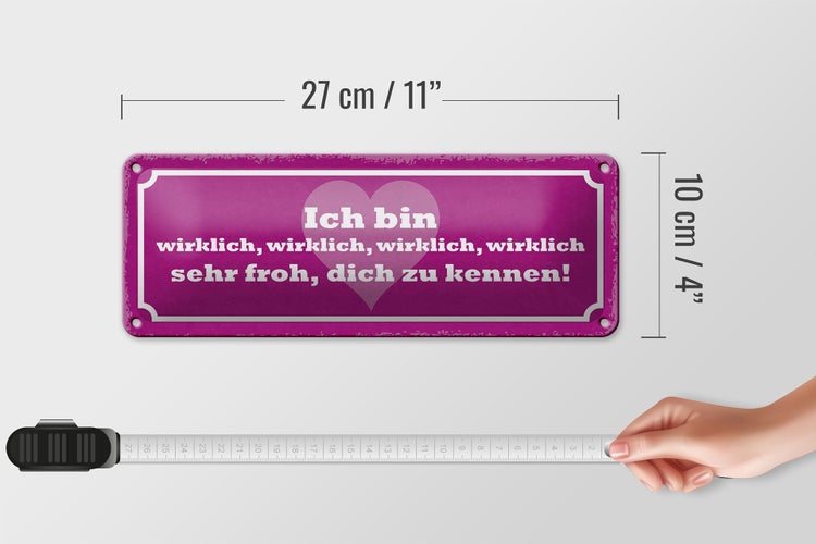 Blechschild Spruch 27x10cm bin wirklich froh dich zu kennen Dekoration