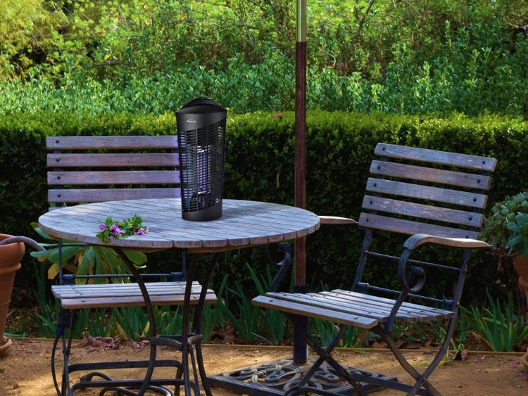 Szene im Garten mit einer Insektenfalle auf einem Tisch zwischen zwei Bänken