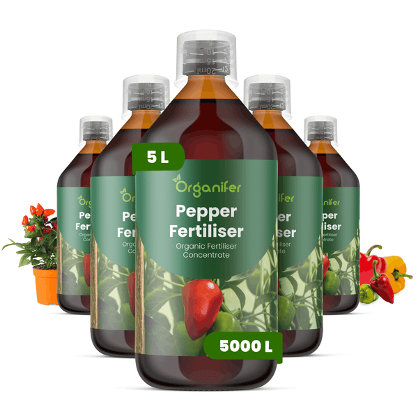 Organifer Bio Paprikadünger Konzentrat im fünf Liter Set mit fünf Flaschen und Messkappen, geeignet für Paprika- und Chilipflanzen.
