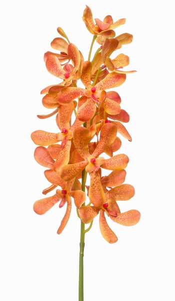 Künstliche orangefarbene Orchideen mit rötlichen Punkten in Nahaufnahme.