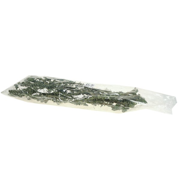 Getrocknetes grünes Naturmoos in transparenter Folienverpackung für Floristik und Bastelarbeiten.