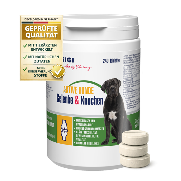 Dose mit 240 Tabletten GIGI Aktive Hunde Gelenke und Knochen mit Kollagen und Hyaluronsäure sowie drei gestapelten Tabletten.