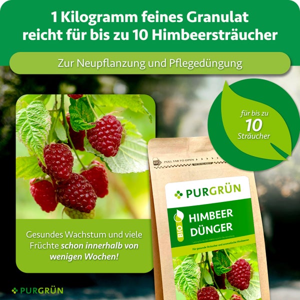Purgrün Bio Himbeerdünger Granulat in wiederverschließbarem Beutel für Neupflanzung und Pflegedüngung von bis zu 10 Himbeersträuchern.