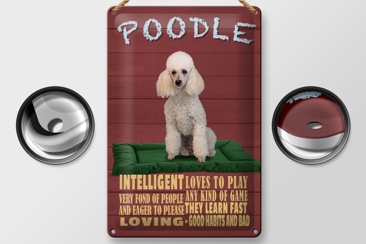 Blechschild Spruch 20x30cm Hund Poodle loves to play