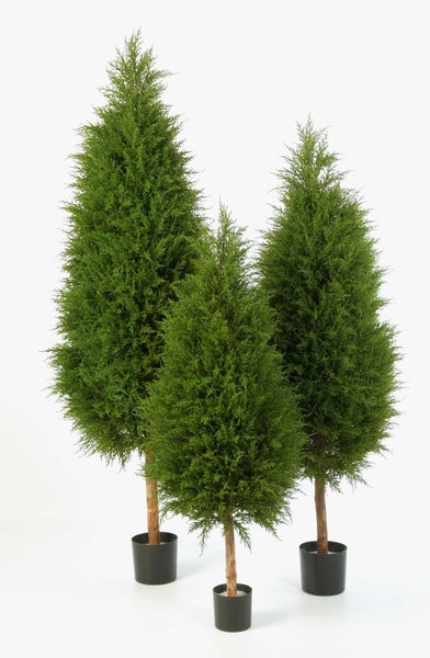 Drei künstliche Zypressen in unterschiedlichen Höhen in schwarzen Kunststofftöpfen.