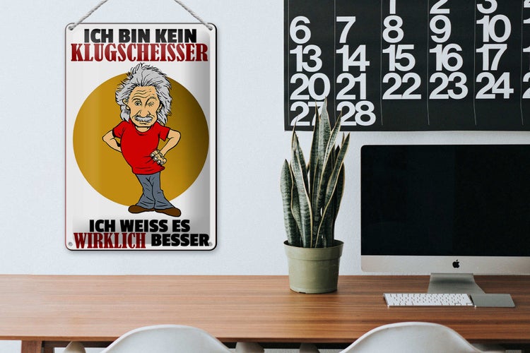 Blechschild Spruch 20x30cm ich bin kein Klugscheisser