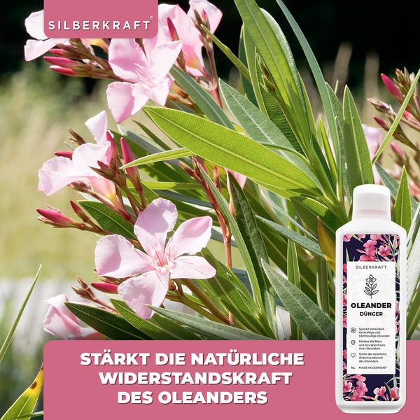 SILBERKRAFT Oleander Dünger – Für gesunde Oleander – 1 Liter