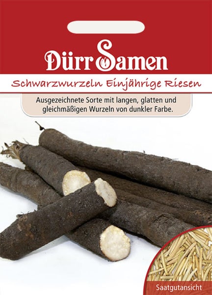 Samentüte für Schwarzwurzeln Einjährige Riesen von Dürr Samen mit Abbildung der Wurzeln und Saatgutansicht.