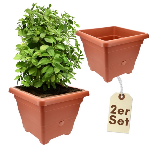 Blumentopf Set mit Pflanze und leerem Topf