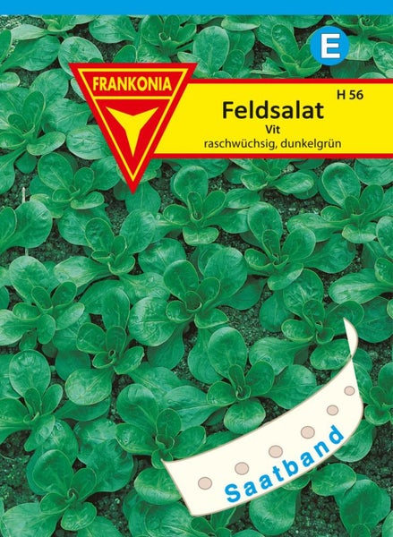 Feldsalat Saatband von Frankonia