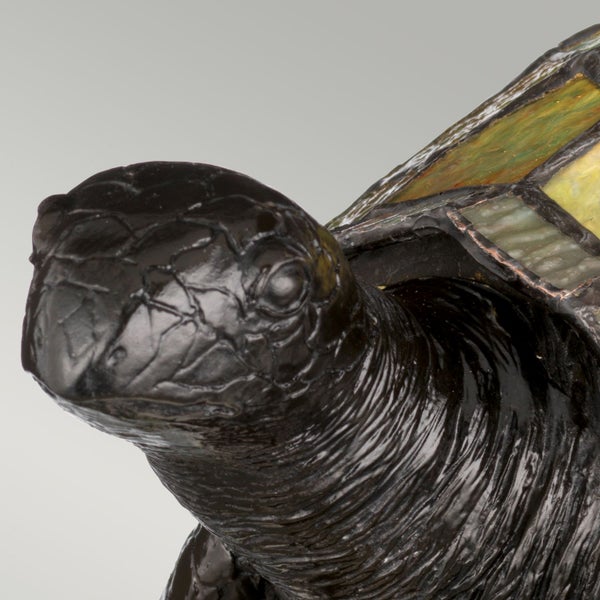 Detailaufnahme einer Schildkrötenlampe mit Glas