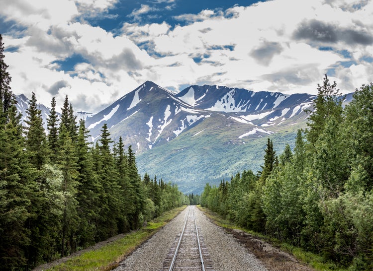 Bahngleise führen durch einen dichten Wald auf schneebedeckte Berge unter einem bewölkten Himmel zu.