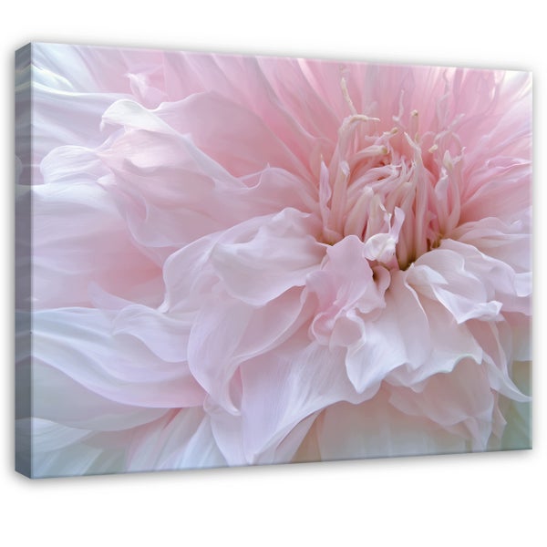 Wandbild mit einer Nahaufnahme einer zarten Blume als Leinwanddruck im Querformat
