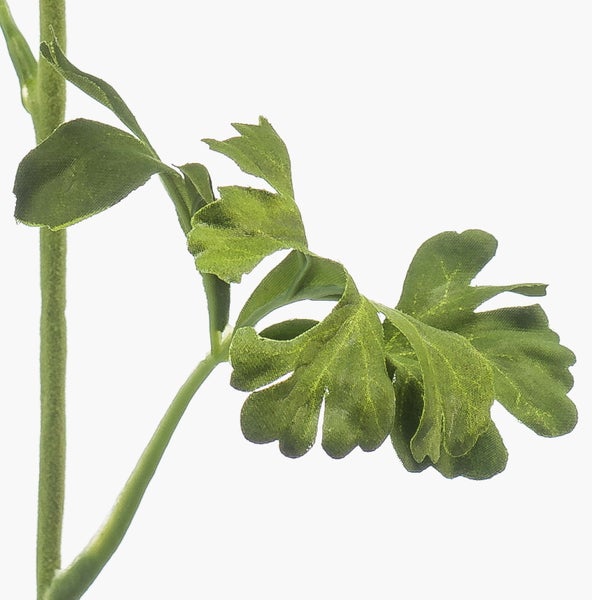 Kunstblume Ranunkel mit langem Stiel und grünen Blättern, Blüte in Flieder und Gelb.