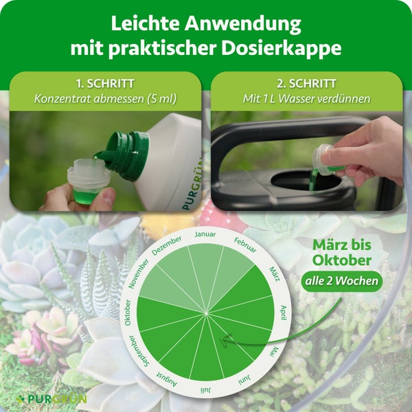 Anwendungsanleitung für Purgrün Dünger mit Dosierkappe: Abmessen von Konzentrat, Verdünnen mit Wasser und Darstellung der Anwendungsmonate.