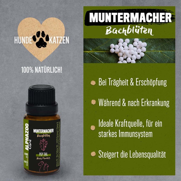 ALPHAZOO Muntermacher Bachblüten 15g für Hunde und Katzen I Spielfreude und Energie