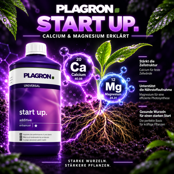 Plagron Start Up Pflanzendünger Flasche mit Calcium und Magnesium zur Stärkung der Zellstruktur und Förderung des Wurzelwachstums.