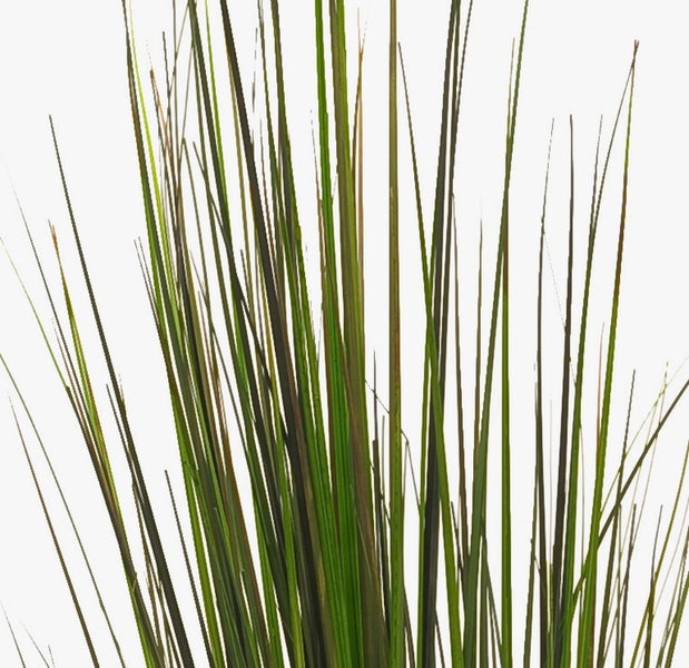 Künstlicher Farnzweig für Dekoration mit grünen Blättern und braunem Stiel.