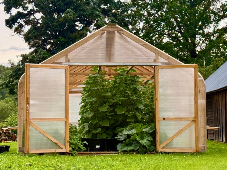 Holzgewächshaus mit transparenten Paneelen und geöffneten Flügeltüren, in dem üppige Pflanzen wachsen, auf einer Wiese im Garten.
