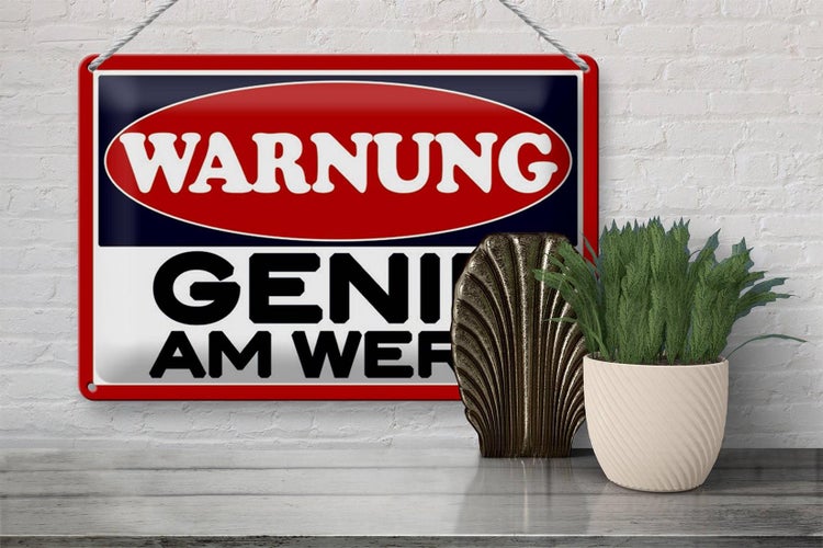 Blechschild HInweis 30x20cm Warnung Genie am Werk