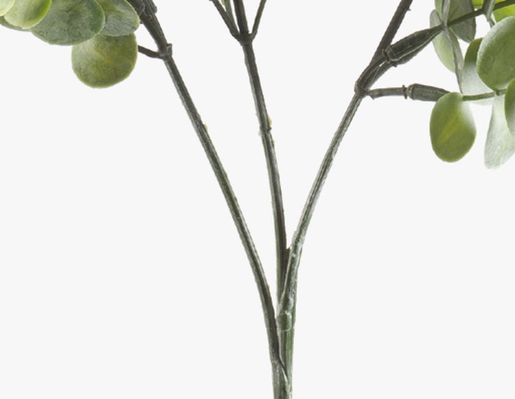 Grüne Grashalme einer künstlichen Deko-Pflanze in Nahaufnahme.