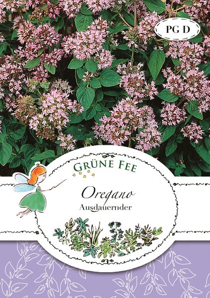 Ausdauernder Oregano von Grüne Fee in Blüte mit kleinen rosa Blüten und grünen Blättern.