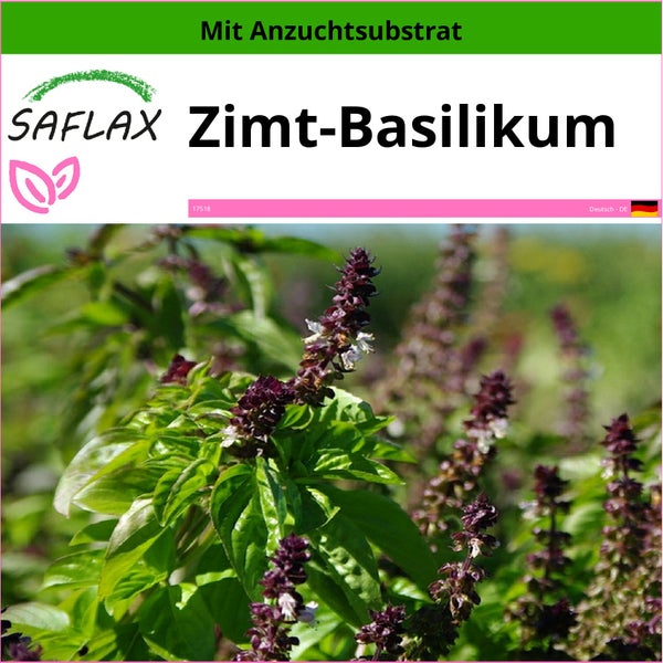 SAFLAX  - Zimt-Basilikum - Ocimum basilicum cinnamon - 200 Samen - Mit keimfreiem Anzuchtsubstrat