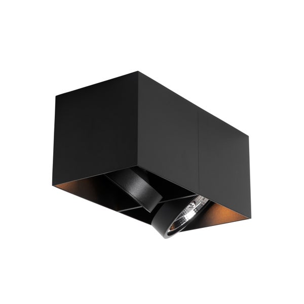 Schwarze Deckeneinbauleuchte mit verstellbarem Spot