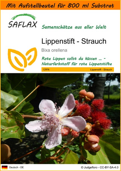 SAFLAX Garden in the bag - Lippenstift - Strauch - Bixa orellena - 20 Samen - Mit Anzuchtsubstrat im praktischen, selbst aufstellenden Beutel