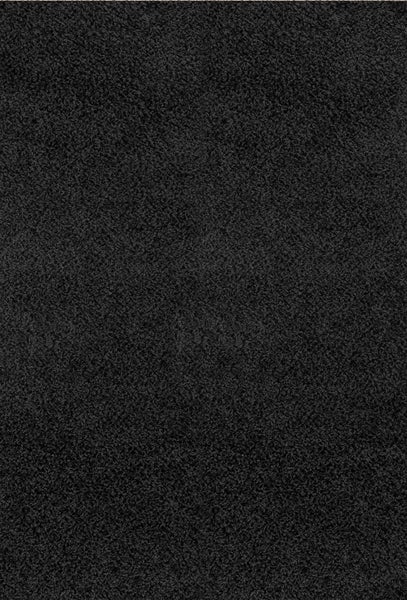 Hochfloriger Shaggy-Teppich Einfarbig Schwarz 120x170 cm LILLY