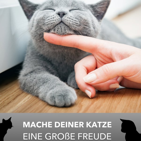 Hop In Katzenklo Katzentoilette Geschlossen mit Deckel Top Entry Jump-In XXL Katzenklo oben einstieg Groß Katzen WC Klo schwarz
