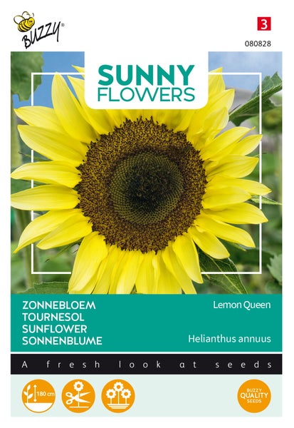 Sonnenblumen-Samenpackung Sunny Flowers